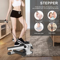 Compact Twist and Tone Stepper